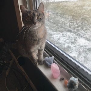 Meet your Posher, Haley